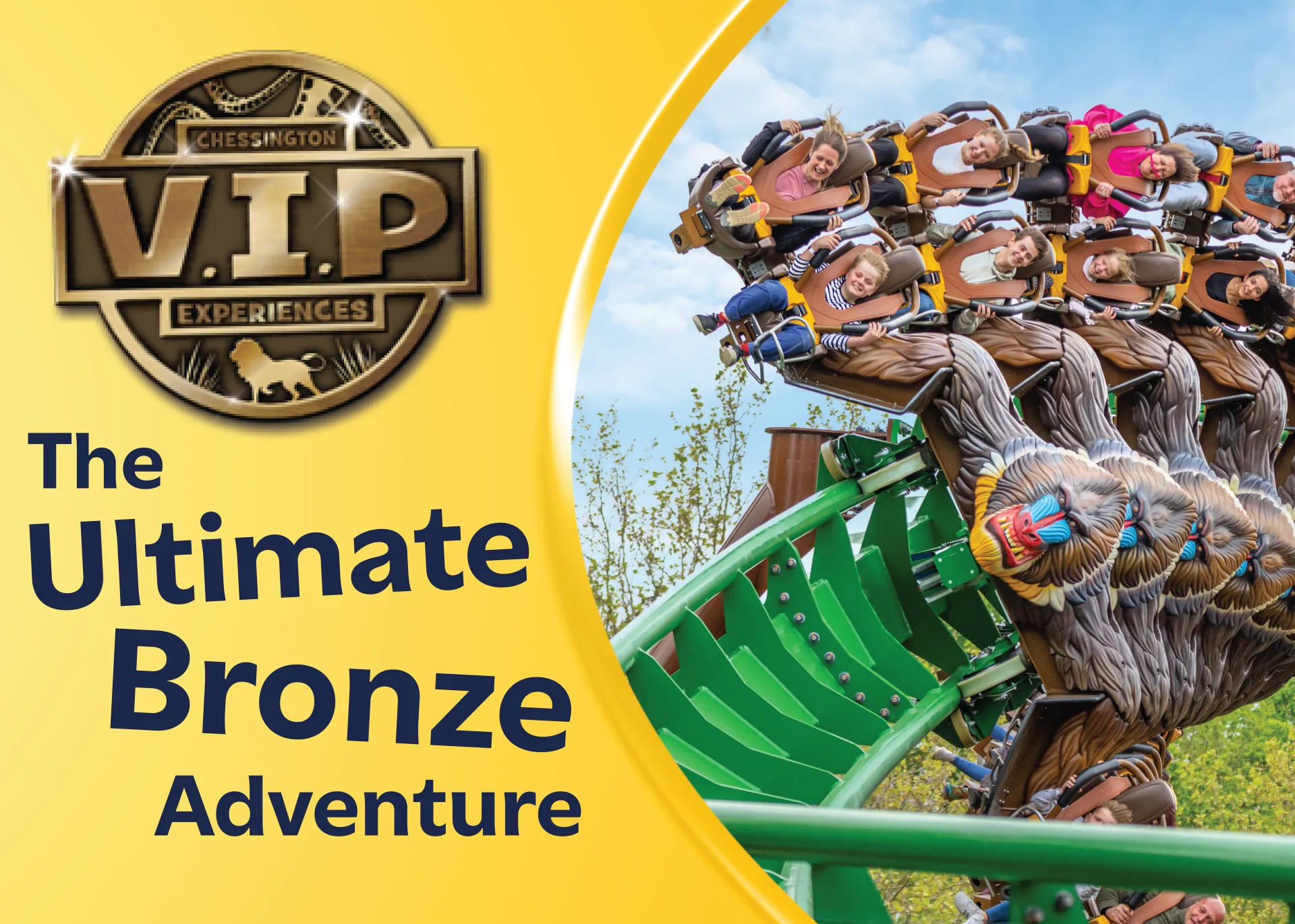 VIP WEB IMAGE 04