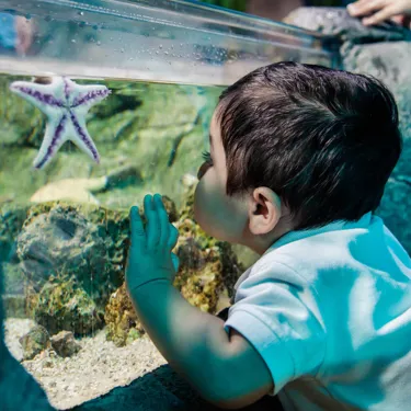 Chessington Family Aquarium