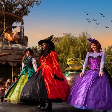Halloween Witches